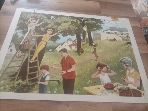 Affiches scolaires double - affiches,
